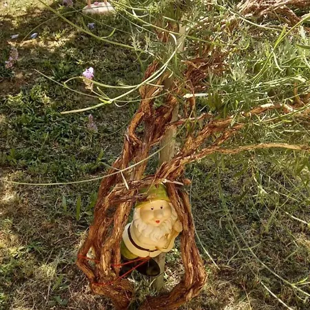 Affittacamere Automotodrom Grobnik - And Skejic