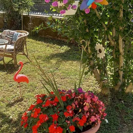 Automotodrom Grobnik - And Skejic 3* Čavle