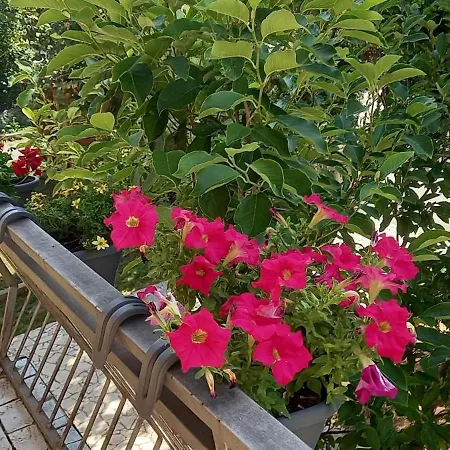 Automotodrom Grobnik - And Skejic 3* Čavle