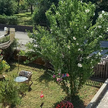 Affittacamere Automotodrom Grobnik - And Skejic 3*