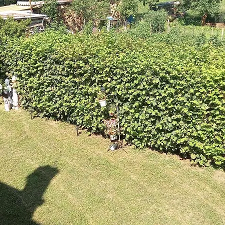 Automotodrom Grobnik - And Skejic 3* Čavle