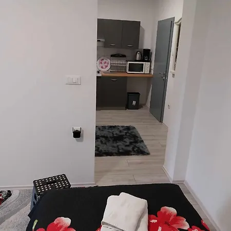 Automotodrom Grobnik - Apartments&rooms Skejić 3*