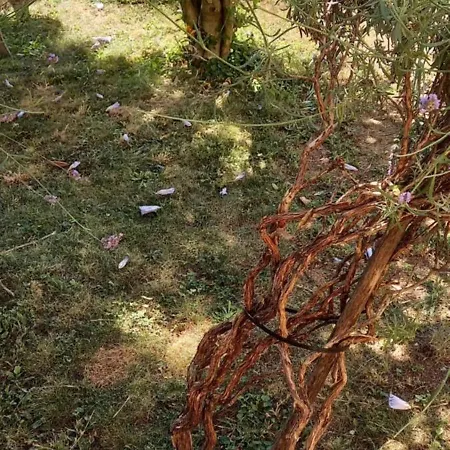 Automotodrom Grobnik - And Skejic 3* Чавле