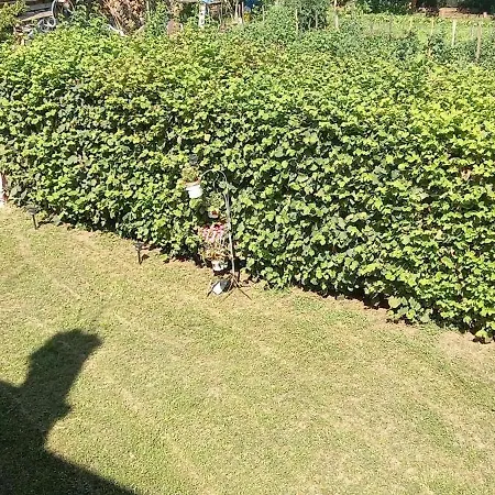 Гостевой дом Automotodrom Grobnik - And Skejic 3*