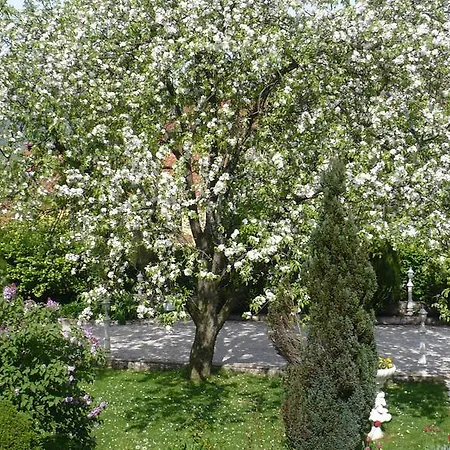 Гостевой дом Automotodrom Grobnik - And Skejic Чавле