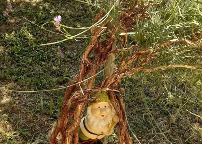 Konukevi Automotodrom Grobnik - And Skejic