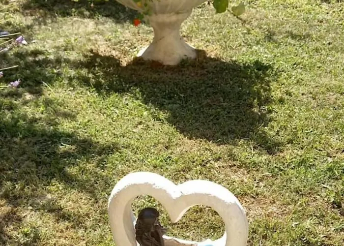 Automotodrom Grobnik - And Skejic Čavle