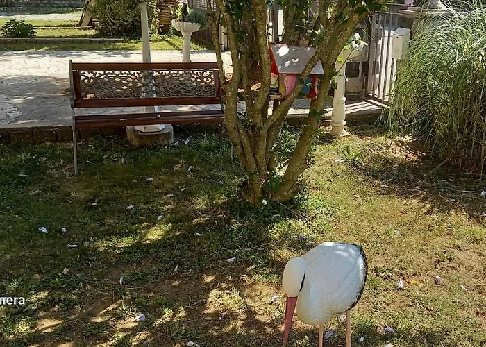 Konukevi Automotodrom Grobnik - And Skejic