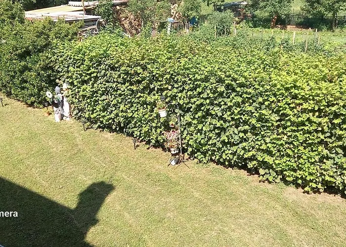 Automotodrom Grobnik - And Skejic 3* Čavle