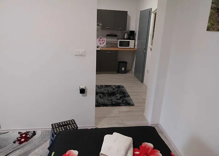 Automotodrom Grobnik - And Skejic 3*